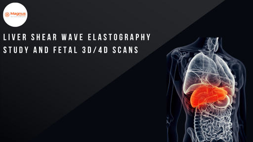 Liver Shear Wave 3D/4D Scans